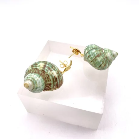 boucle oreille escargot mer vert5
